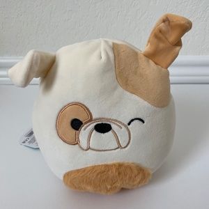 8” Geraldine “CAT” & Brock “DOG” Flipamallows Squishmallows NWT